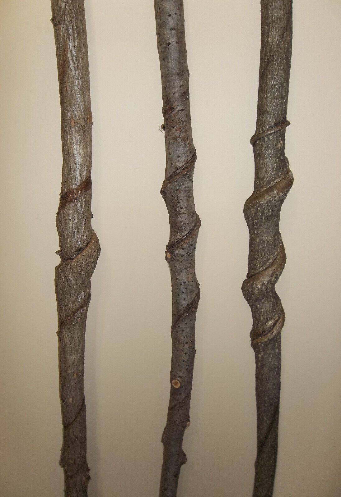 3 Vine Twisted Spiral Curled Walking Hiking Sticks Craft Wood Carving Blanks G12